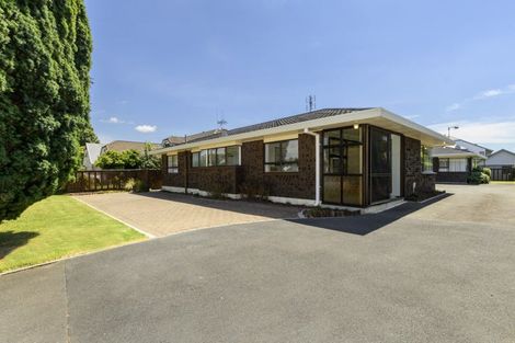 Photo of property in 111 Kings Avenue, Matua, Tauranga, 3110