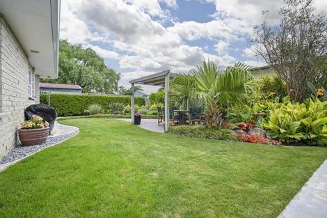 Photo of property in 4/301 Charles Street, Saint Leonards, Hastings, 4120