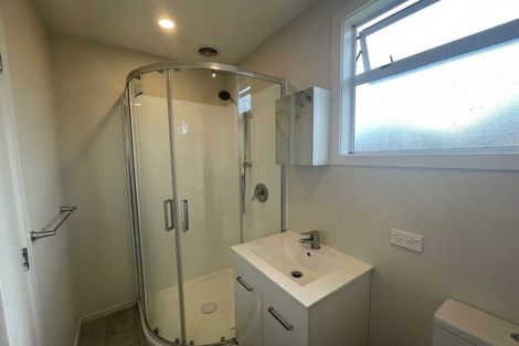 Photo of property in 60 Chrystal Street, Richmond, Christchurch, 8013