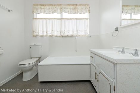 Photo of property in 84a Fitzroy Street, Terrace End, Palmerston North, 4410