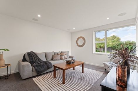 Photo of property in 20 Thames Street, Mosgiel, 9024