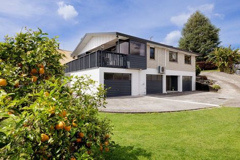 Photo of property in 249 Bellevue Road, Bellevue, Tauranga, 3110