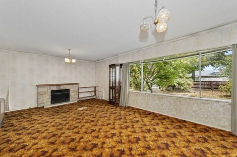 Photo of property in 294 Peachgrove Road, Fairfield, Hamilton, 3214