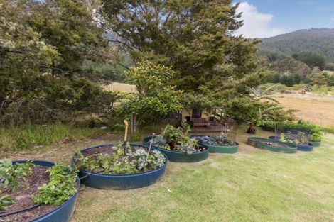 Photo of property in 958 Whangaripo Valley Road, Whangaripo, Wellsford, 0972