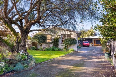 Photo of property in 38 Adams Lane, Springlands, Blenheim, 7201