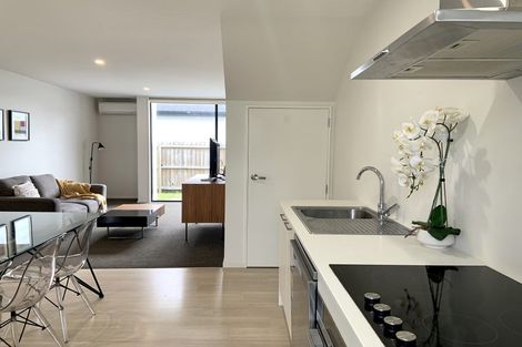Photo of property in 9 Verlamio Lane, Edgeware, Christchurch, 8013