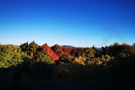 Photo of property in 50 Kimihia Road, Huntly, 3700