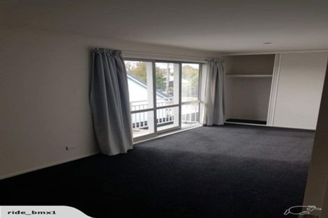 Photo of property in 69 Essex Street, Phillipstown, Christchurch, 8011