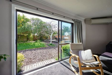 Photo of property in 166a Beach Road, Kaikoura, 7300