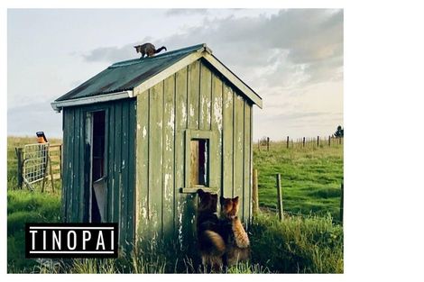 Photo of property in 1509 Tinopai Road, Tinopai, Matakohe, 0593