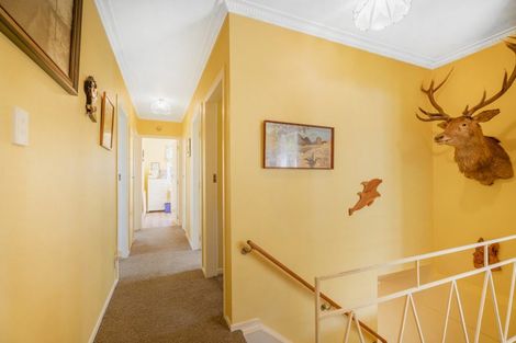 Photo of property in 14 Stormont Lane, Whitianga, 3510