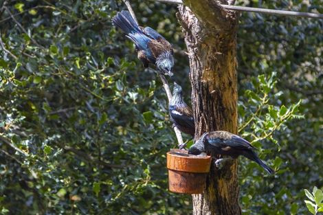 Photo of property in 67 Matatua Road, Raumati Beach, Paraparaumu, 5032