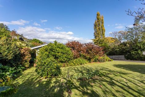 Photo of property in 115 Irishtown Road, Thames, 3500