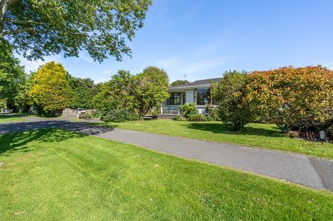 Photo of property in 31a Chelmsford Street, Windsor, Invercargill, 9810