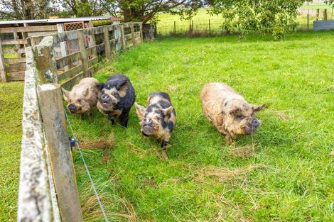 Photo of property in 672 Henry Road, Taupiri, 3791