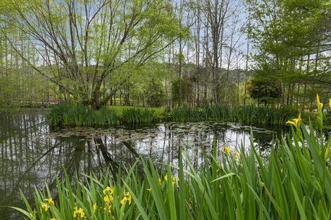 Photo of property in 37b Robinson Road, Coatesville, 0793
