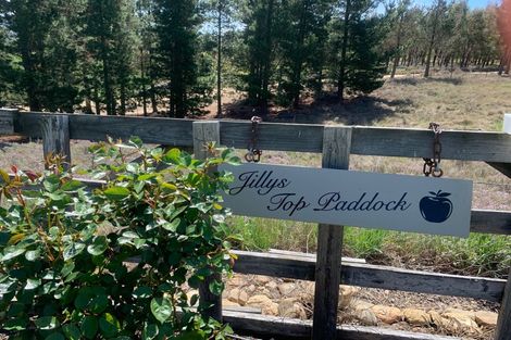 Photo of property in 272 Letts Gully Road, Letts Gully, Alexandra, 9393