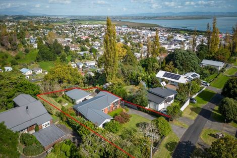 Photo of property in 115 Irishtown Road, Thames, 3500