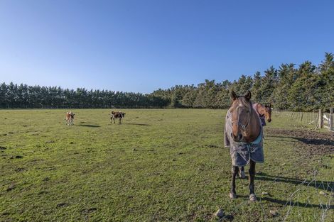 Photo of property in 1386 North Eyre Road, West Eyreton, Rangiora, 7475