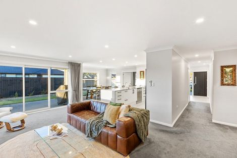 Photo of property in 38 Mcquillan Avenue, Woodend, 7610