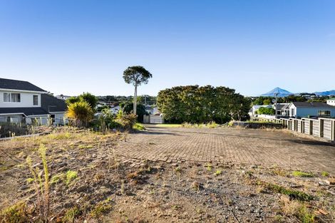 Photo of property in 38 Birdwood Avenue, Moturoa, New Plymouth, 4310