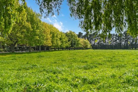 Photo of property in 225 Chester Road, West Taratahi, Carterton, 5791