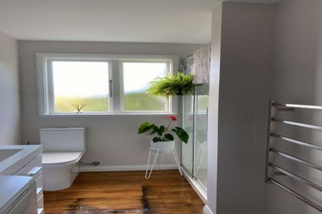 Photo of property in 162 The Ridgeway, Mornington, Wellington, 6021