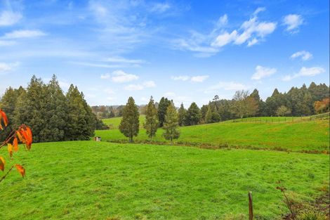 Photo of property in 39 Otapouri Road, Owhango, 3989