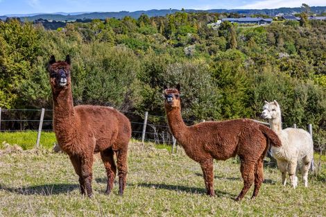 Photo of property in 77 Tender Road, Dairy Flat, Albany, 0794