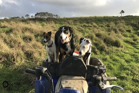 Photo of property in 133 Hanham Road, Kumeu, 0891