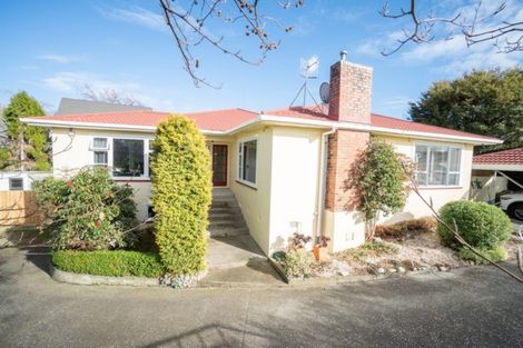 Photo of property in 86 Fitzroy Street, Terrace End, Palmerston North, 4410