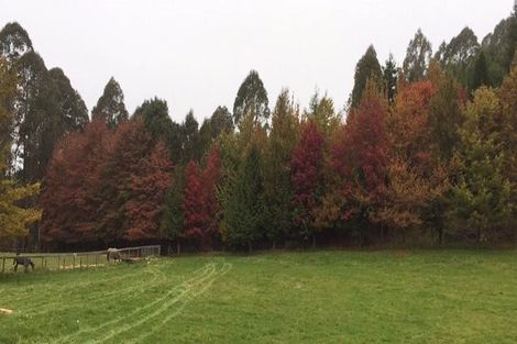 Photo of property in 1305 Motueka Valley Highway, Ngatimoti, Motueka, 7196