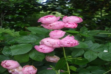 Photo of property in 24 Mary Street, Te Kuiti, 3910