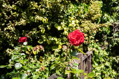 Photo of property in 72 Churton Drive, Churton Park, Wellington, 6037