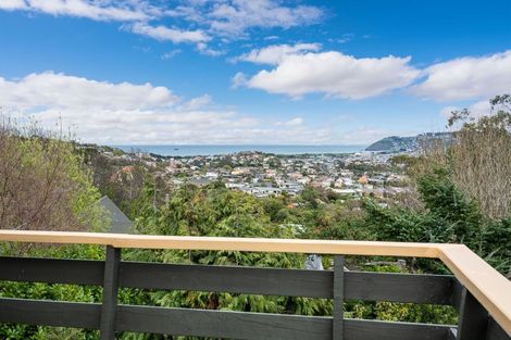 Photo of property in 27 Elliffe Place, Shiel Hill, Dunedin, 9013