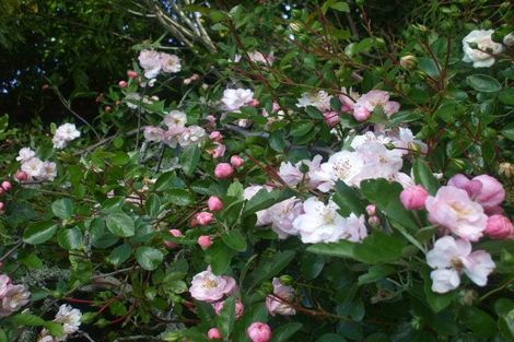 Photo of property in 24 Mary Street, Te Kuiti, 3910