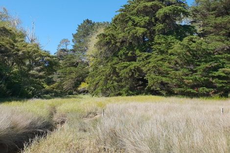 Photo of property in 996 Te Papatapu Road, Raglan, 3894