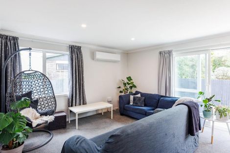 Photo of property in 29a Gemini Avenue, Milson, Palmerston North, 4414