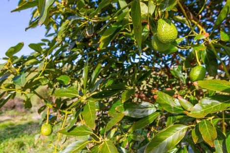 Photo of property in 497b Wainui Road, Raglan, 3297