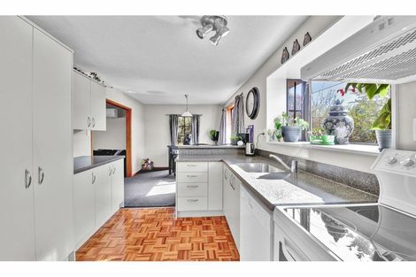 Photo of property in 11 Mansfield Drive, Kaiapoi, 7630