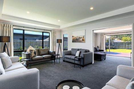 Photo of property in 243 Taylor Pass Road, Witherlea, Blenheim, 7201