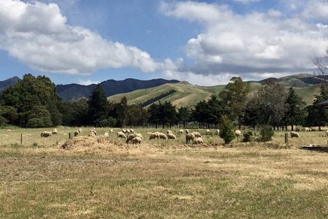 Photo of property in 57 Grigg Drive, Witherlea, Blenheim, 7201