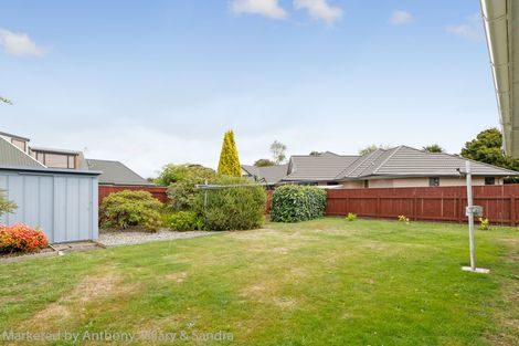 Photo of property in 84a Fitzroy Street, Terrace End, Palmerston North, 4410