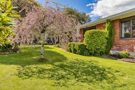 Photo of property in 23 Tanner Street, Havelock North, 4130