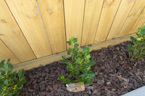 Photo of property in 1 Stephen Street, Trentham, Upper Hutt, 5018