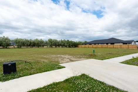 Photo of property in 19 Catalina Crescent, Forrest Hill, Auckland, 0620