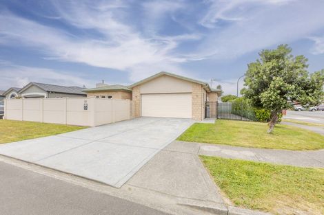 Photo of property in 117 Hunter Drive, Awatoto, Napier, 4110