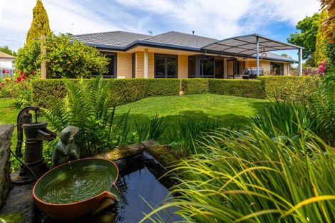 Photo of property in 46 Endeavour Street, Riversdale, Blenheim, 7201