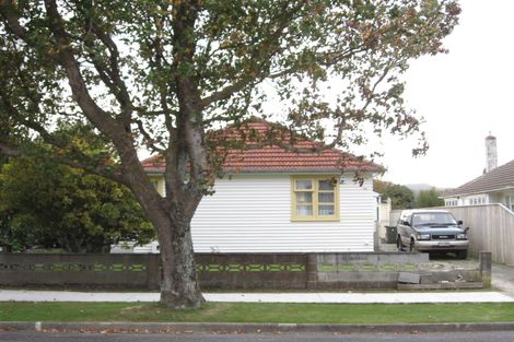 Photo of property in 17 Chapman Crescent, Naenae, Lower Hutt, 5011