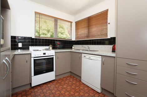 Photo of property in 149 Rimu Street, Maeroa, Hamilton, 3200